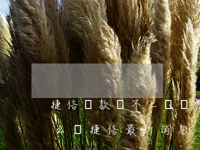 捷信貸款還不上會報警嗎(捷信貸款不還會怎么樣捷信最新消息)