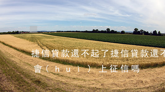 捷信貸款還不起了(捷信貸款還不起了怎么辦會(huì)上征信嗎)