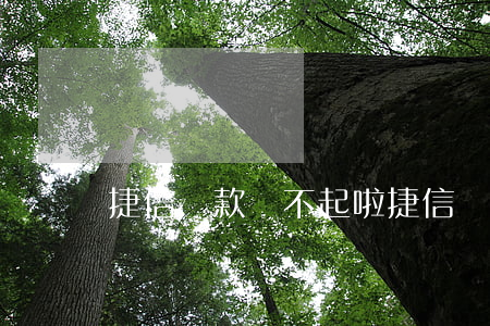 捷信貸款還不起啦(捷信貸款還不起啦)