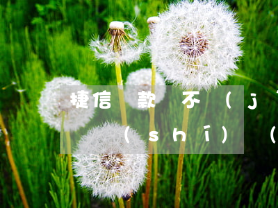 捷信貸款還不進(jìn)去(捷信金融貸款暫時(shí)無(wú)法還有什么辦法解決)