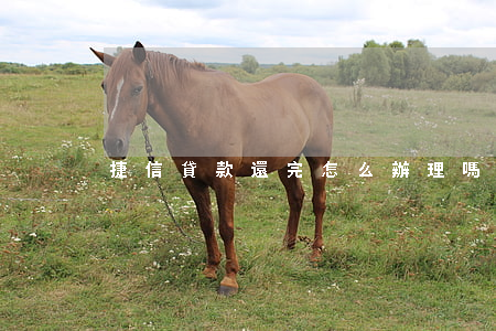捷信貸款還完怎么辦理嗎(捷信金融怎么還款)