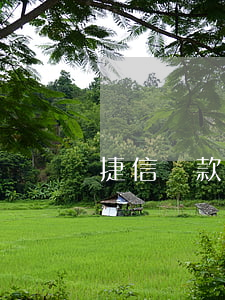 捷信貸款還完需要注銷嗎(捷信金融怎么注銷)