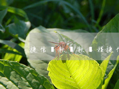 捷信貸款還款過程(捷信還款怎么還款方式)