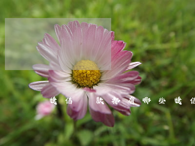 捷信貸款都有哪些(捷信貸款額度)