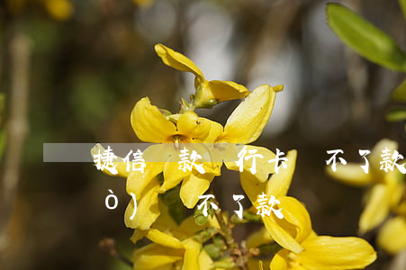 捷信貸款銀行卡貸不了款(捷信分期過(guò)貸不了款)