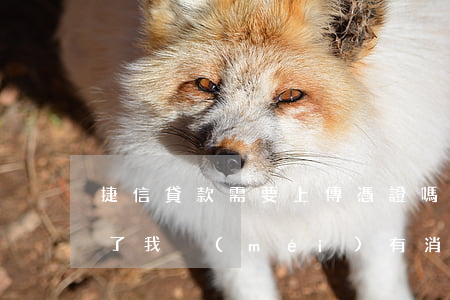 捷信貸款需要上傳憑證嗎(我在捷信公司貸款了我沒(méi)有消費(fèi)憑證怎么辦)