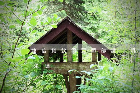 捷信貸款需要面部識別嗎(捷信貸款有什么要求嗎)