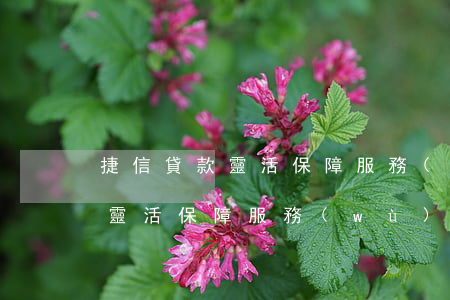 捷信貸款靈活保障服務(wù)包(捷信分期靈活保障服務(wù)包費(fèi)用是多少)