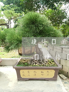捷信貸逾期了會(huì)告上法院了怎么辦(捷信貸款逾期起訴了并通知開庭怎么辦)