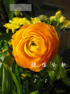 捷信贷款2100元分期(捷信分期额度9000)