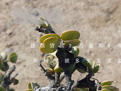 捷信贷款2万逾期8年了(捷信贷款逾期了三天利息就多了五百多)