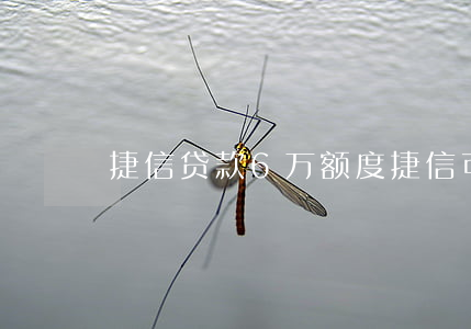 捷信贷款6万额度(捷信可以贷款多少)