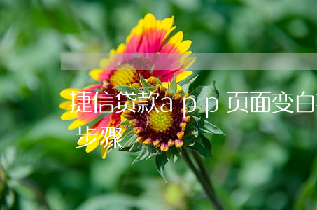 捷信贷款app页面变白(捷信在手机上贷款步骤)