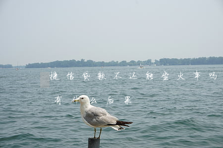 捷信贷款不还能坐火车吗(捷信金融贷款不还有什么后果)