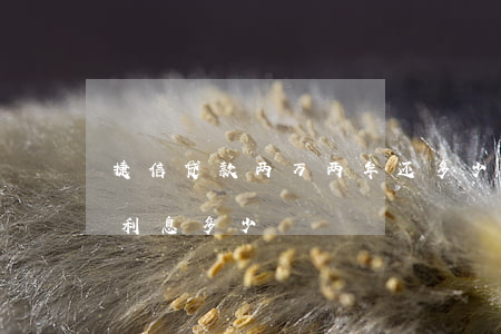 捷信贷款两万两年还多少(捷信贷款两万一年利息多少)