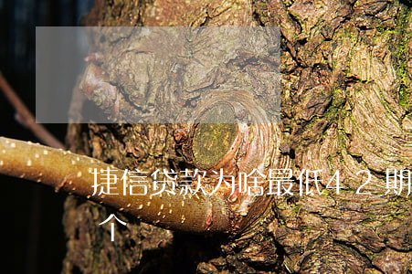 捷信贷款为啥最低42期(捷信商品贷贷了3个)