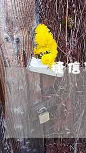 捷信贷款二手汽车(捷信贷款二手汽车)