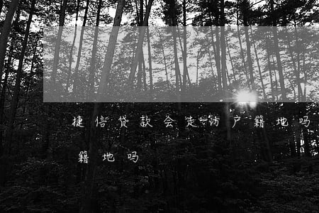 捷信贷款会走访户籍地吗(捷信真的会走访户籍地吗)