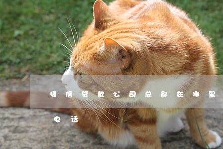 捷信贷款公司总部在哪里(捷信贷款公司咨询电话)