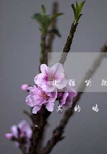 捷信贷款减免利息真的吗(捷信金融减免还款真的吗)
