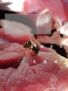 捷信贷款可以游戏充值吗(捷信贷款可以游戏充值吗)