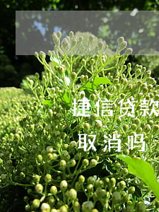 捷信贷款可以立即退订吗(捷信贷款下来了能取消吗)