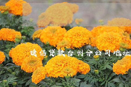 捷信贷款台州分公司地址(捷信贷款公司地址)