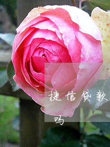 捷信贷款和银行有关系吗(捷信影响银行贷款吗)