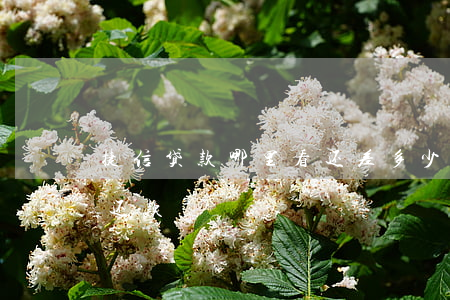 捷信贷款哪里看还差多少(捷信金融在哪里看还款)