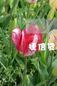 捷信贷款如何注销(捷信信用卡怎么注销)
