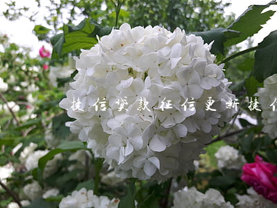 捷信贷款征信更新(捷信2017年上征信吗)