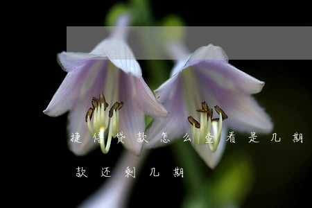 捷信贷款怎么查看是几期(怎么能查到捷信贷款还剩几期)