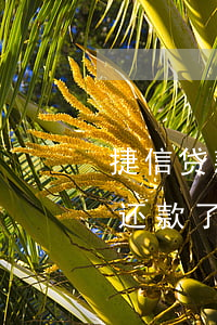 捷信贷款怎样算逾期还款(捷信贷款逾期几天还款了征信什么时候消)