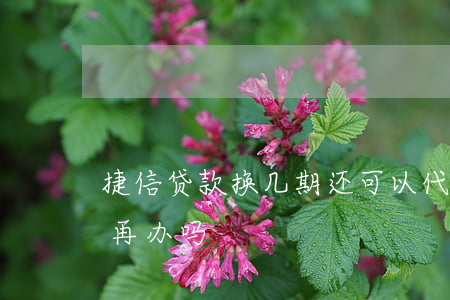 捷信贷款换几期还可以代(办过捷信分期还能再办吗)