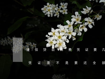 捷信贷款消费凭证要几张(捷信金融没有消费凭证是不是要还全部借款)