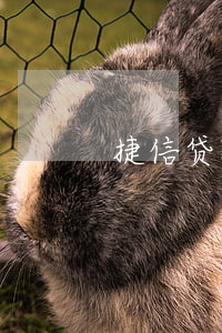 捷信贷款申请表被人冒用(捷信个人贷款)