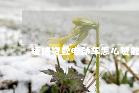 捷信贷款电动车怎么贷款
