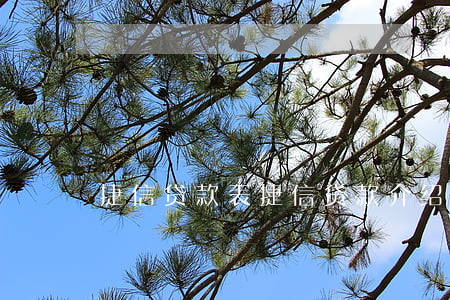捷信贷款表,捷信贷款介绍 捷信贷款表,捷信贷款介绍