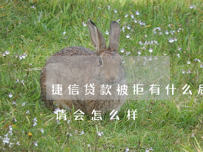捷信贷款被拒有什么后果(捷信被拒绝了再申请会怎么样)