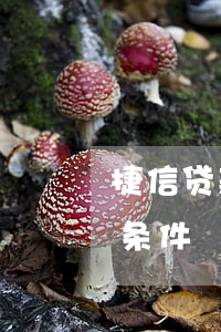 捷信贷款要多久才能申请(捷信金融申请贷款条件)