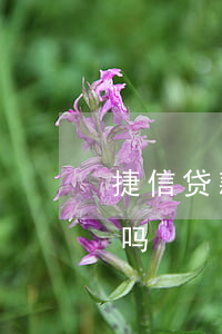 捷信贷款购机有哪些弊端(捷信金融贷款合法吗)