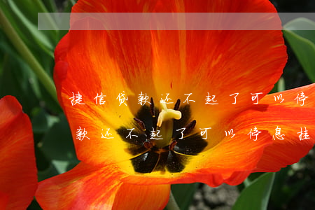 捷信贷款还不起了可以停息挂账吗-捷信贷款还不起了可以停息挂账吗怎么办
