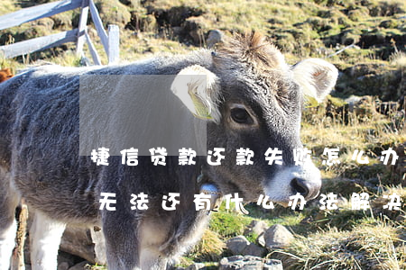 捷信贷款还款失败怎么办(捷信金融贷款暂时无法还有什么办法解决)