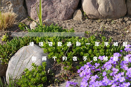 捷信贷款逾期一年半被起诉(捷信手机贷款逾期两个月会不会被起诉)