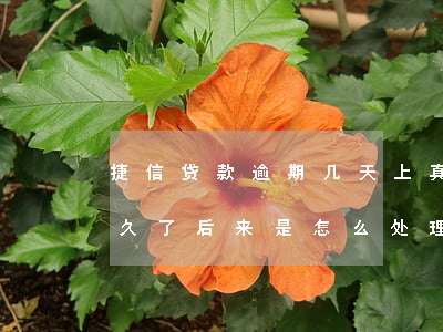 捷信贷款逾期几天上真信(有没有捷信逾期很久了,后来是怎么处理的)