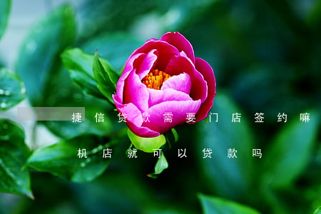 捷信贷款需要门店签约嘛(捷信金融只要是手机店就可以贷款吗)