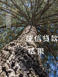 捷信贷款高，捷信贷款高利贷报警后怎么处理结果