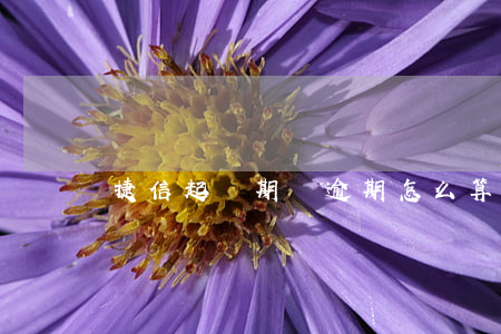 捷信起訴期間逾期怎么算(捷信追訴期)