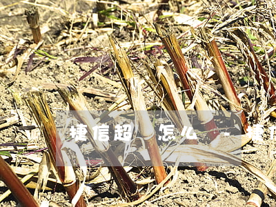 捷信超貸怎么樣-捷信超貸怎么樣可靠嗎