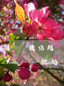 捷信超貸逾期幾天上征信(捷信貸款逾期多久會被起訴:有規(guī)定嗎?)